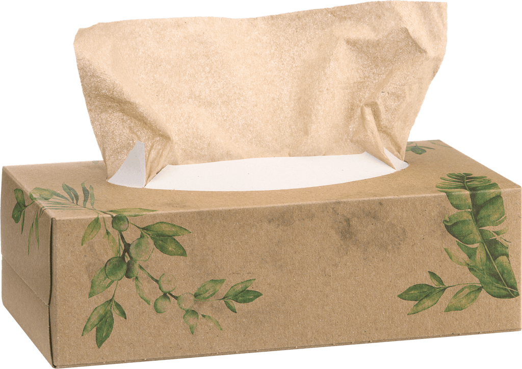 ebelin Cosmetic Tissues Recycling, 200 pcs