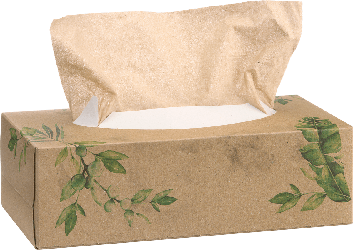 ebelin Cosmetic Tissues Recycling, 200 pcs